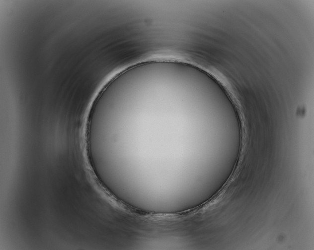 X0000103430864200809121035