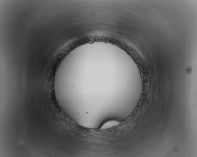 X0000103430870200809121034