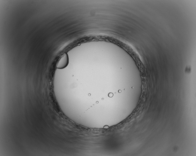 X0000103430871200809121034