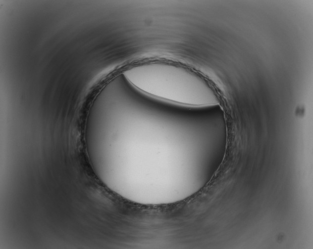 X0000103430872200809121034