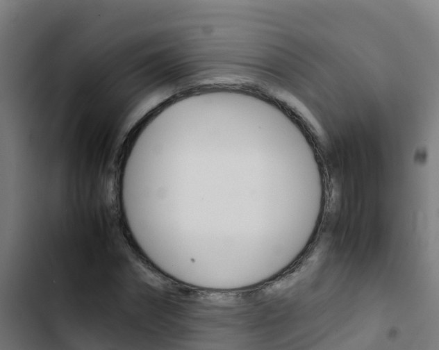 X0000103430874200809121034