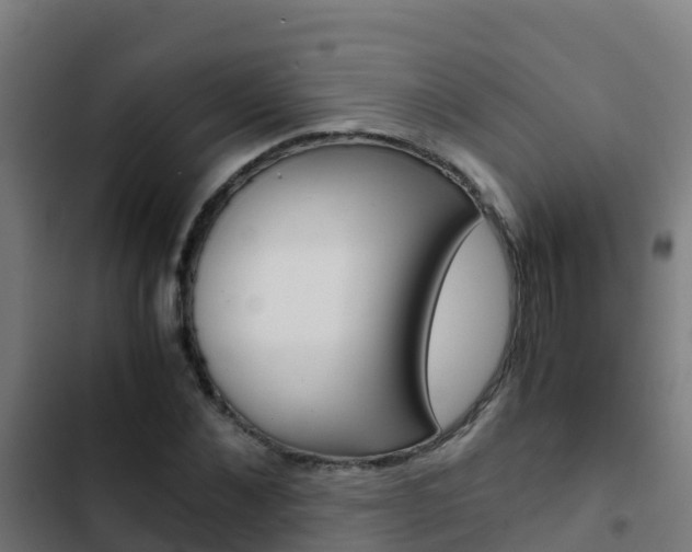 X0000103430876200809121034