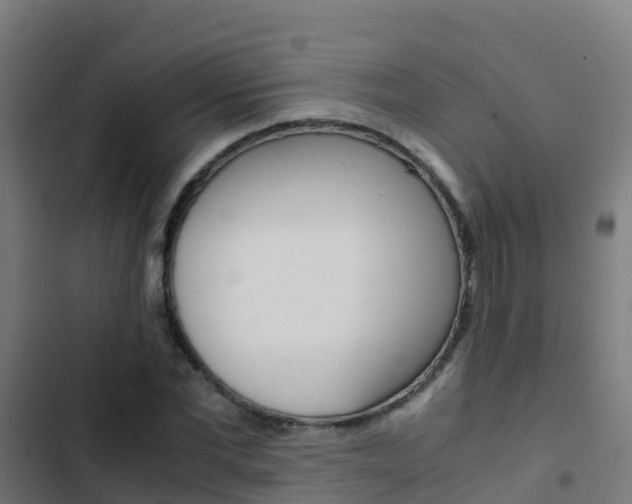 X0000103430877200809121034