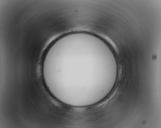 X0000103430878200809121034