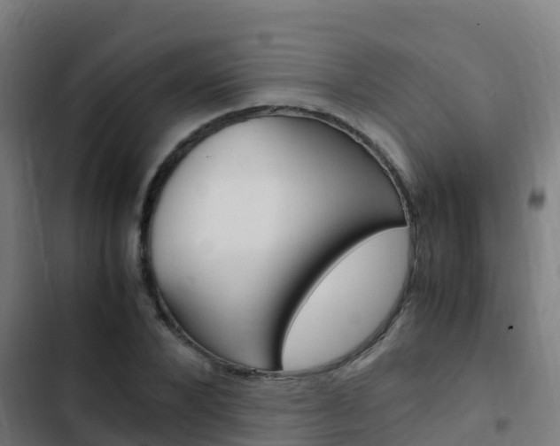 X0000103430880200809121034