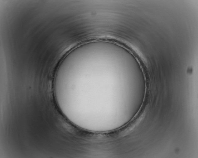 X0000103430881200809121034