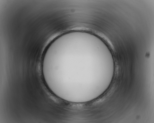 X0000103430882200809121034