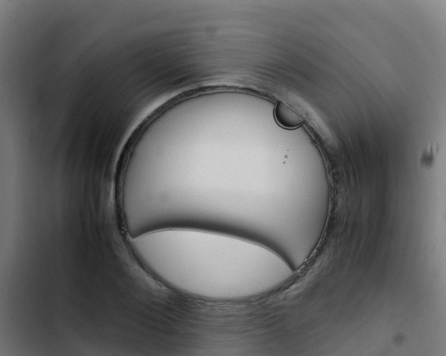 X0000103430884200809121034
