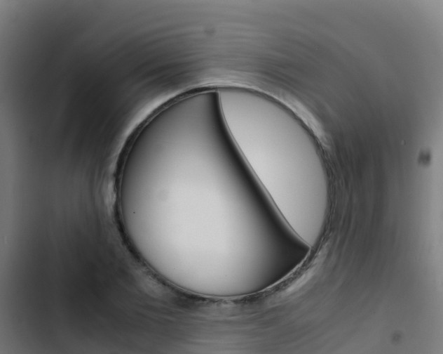 X0000103430885200809121034