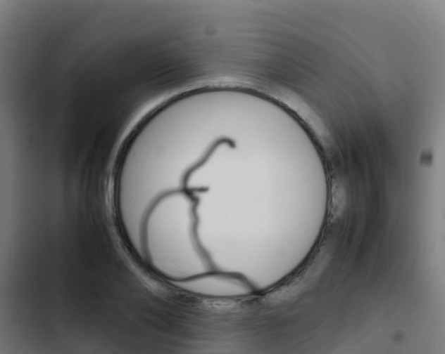 X0000103430886200809121034