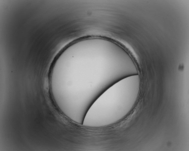X0000103430887200809121034