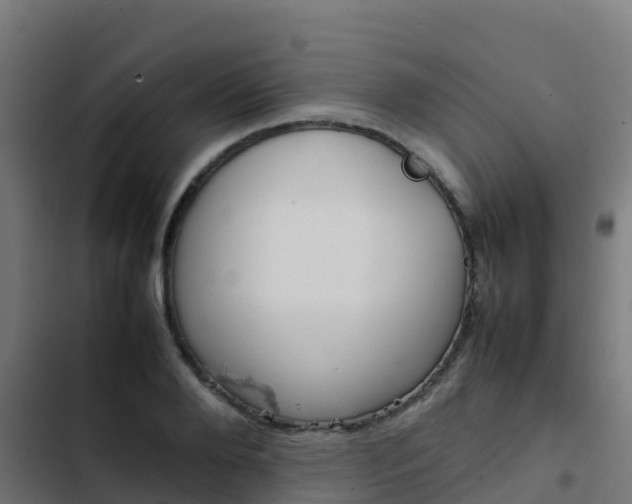 X0000103430888200809121034