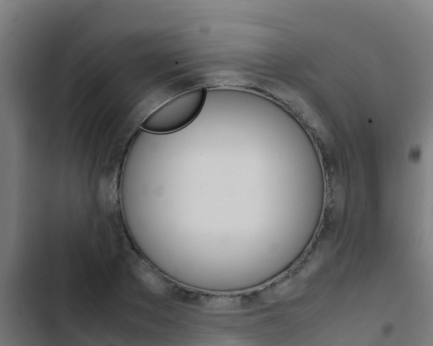 X0000103430889200809121034