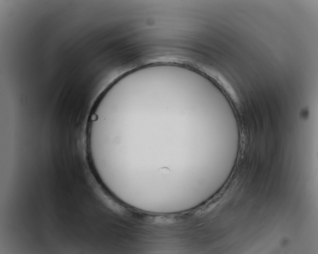 X0000103430890200809121034