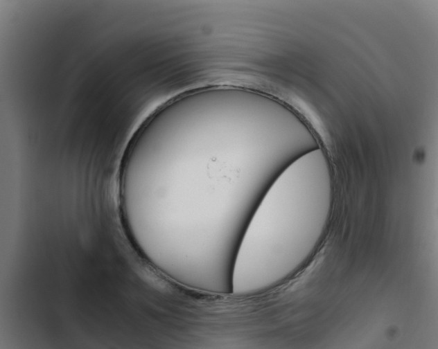 X0000103430891200809121034