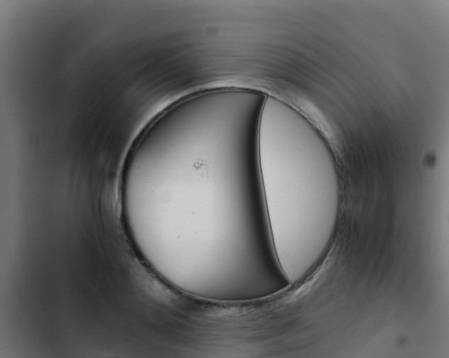 X0000103430892200809121034