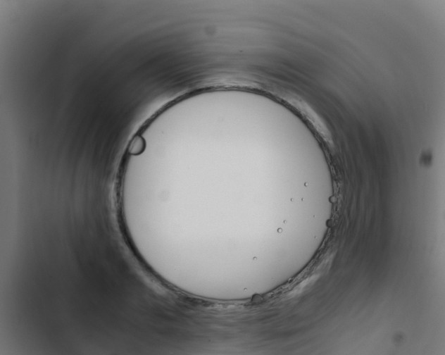 X0000103430893200809121034