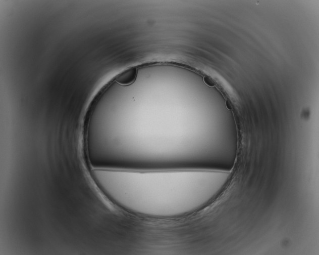 X0000103430894200809121034