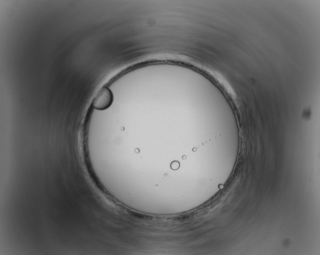 X0000103430895200809121034