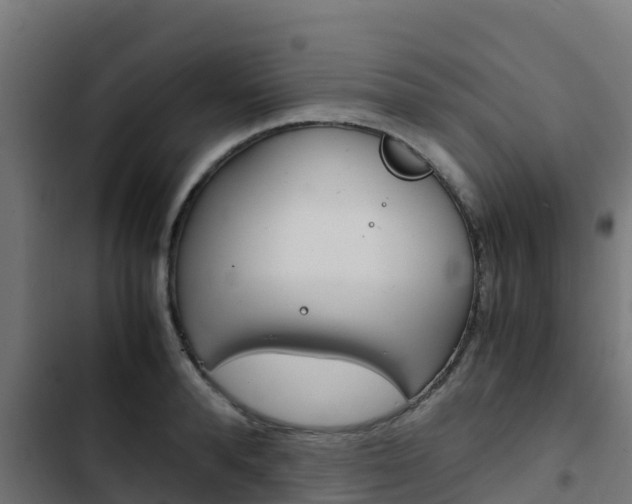 X0000103430896200809121034