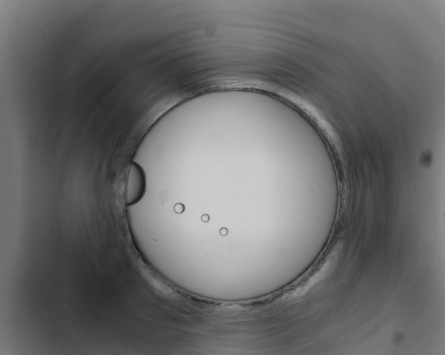 X0000103430897200809121034