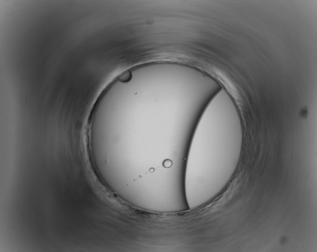X0000103430899200809121034