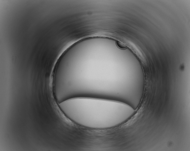 X0000103430900200809121034