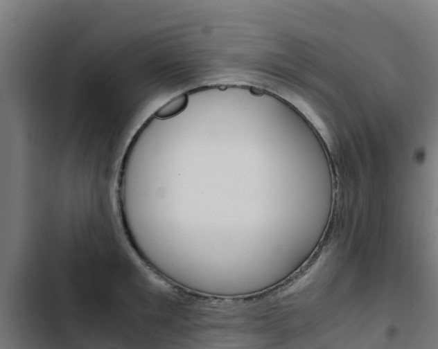 X0000103430901200809121034