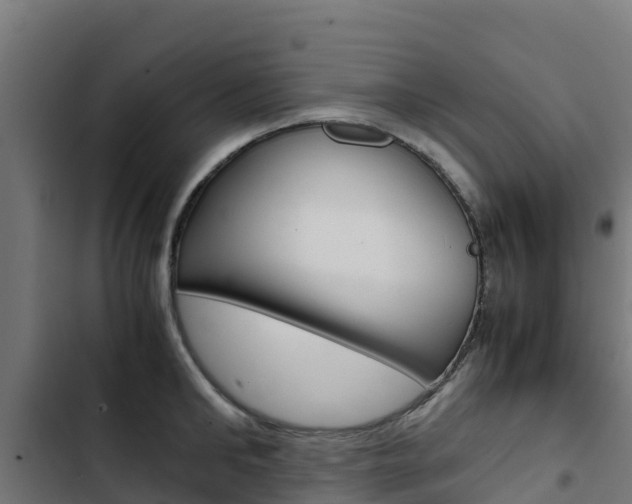 X0000103430902200809121034