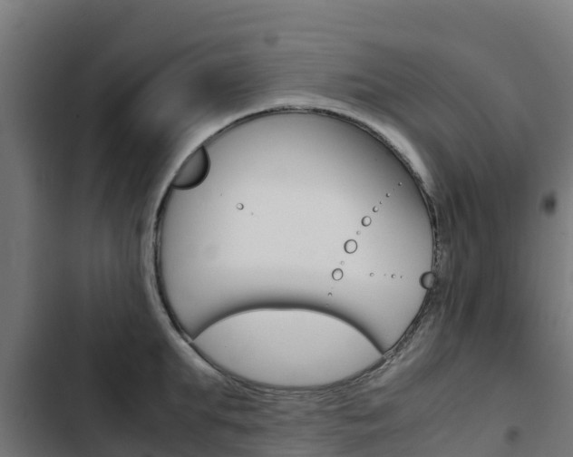 X0000103430903200809121034
