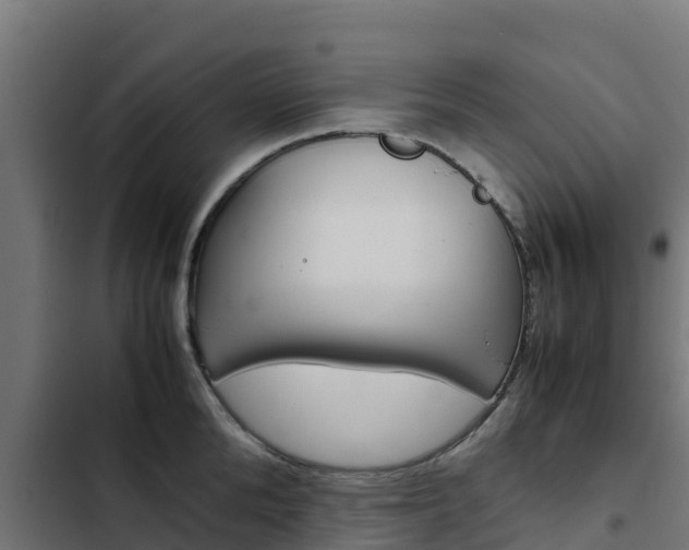 X0000103430904200809121034