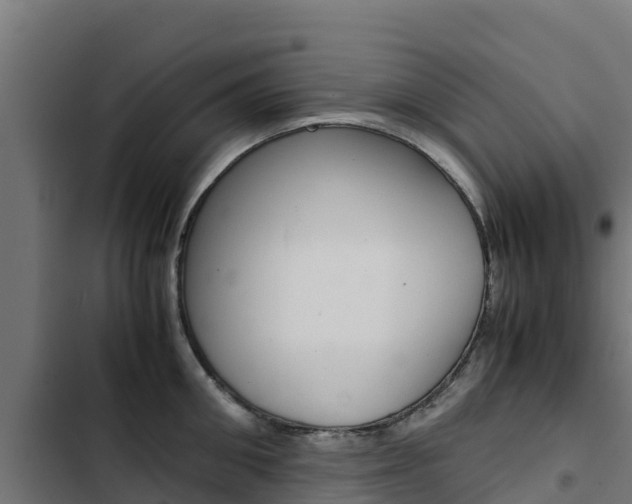 X0000103430906200809121034