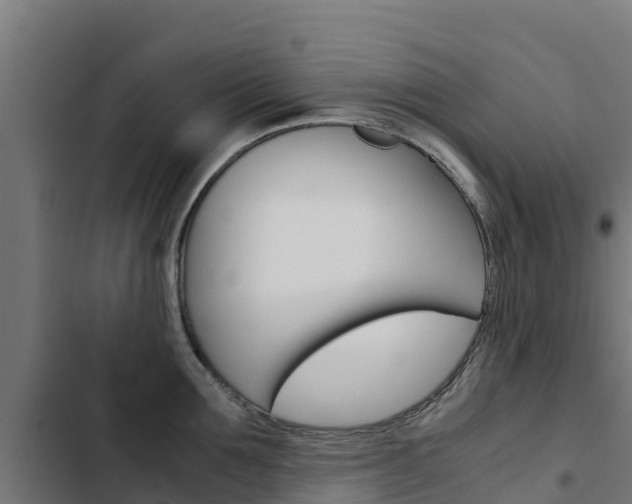 X0000103430907200809121034