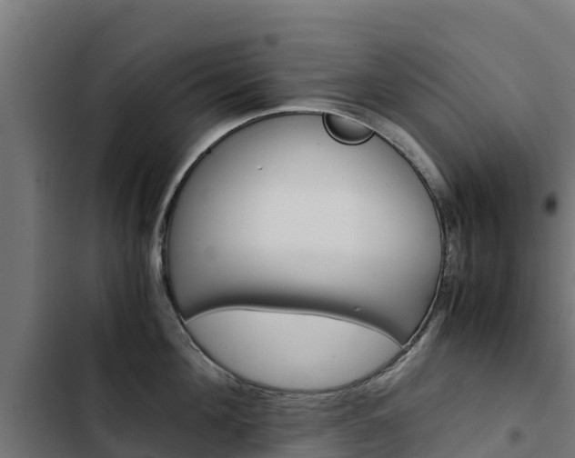 X0000103430908200809121034