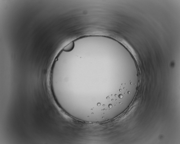 X0000103430909200809121034