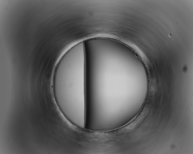 X0000103430910200809121034