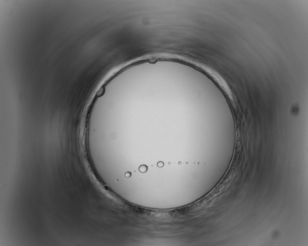 X0000103430911200809121034