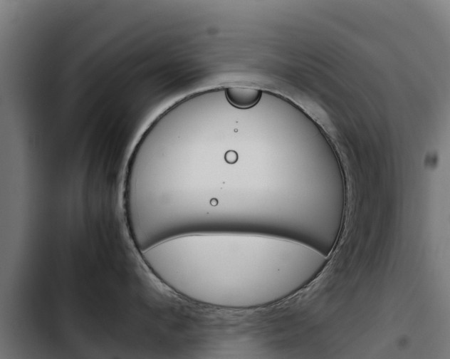X0000103430912200809121034