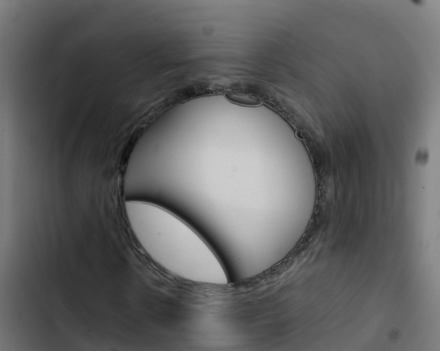 X0000103430914200809121033