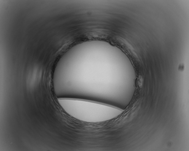 X0000103430915200809121033