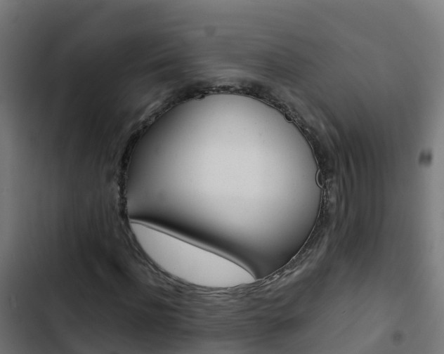 X0000103430916200809121033