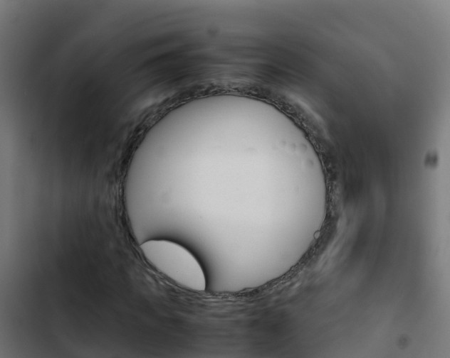 X0000103430917200809121033