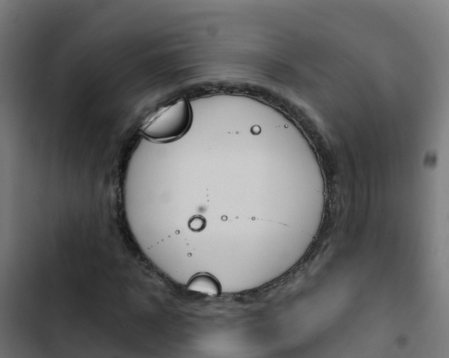 X0000103430918200809121033