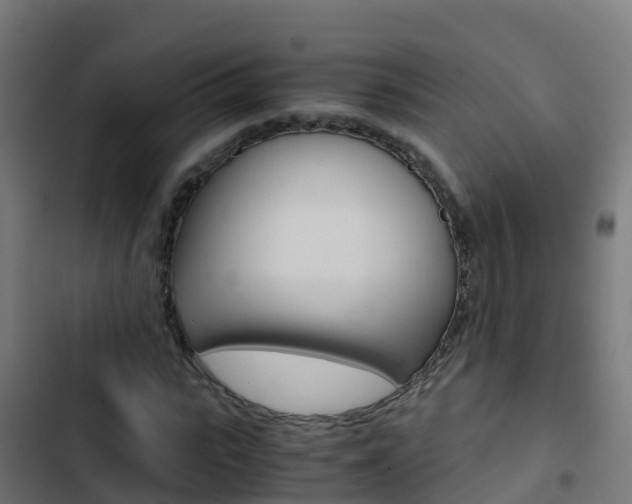X0000103430919200809121033