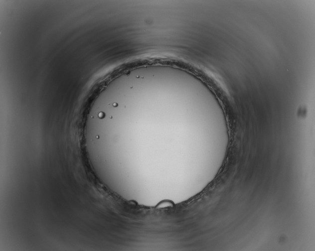 X0000103430920200809121033