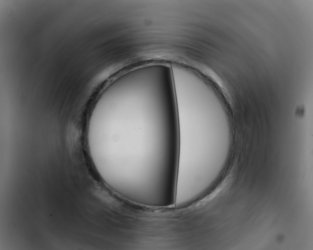 X0000103430922200809121033