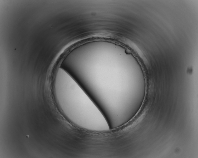 X0000103430923200809121033
