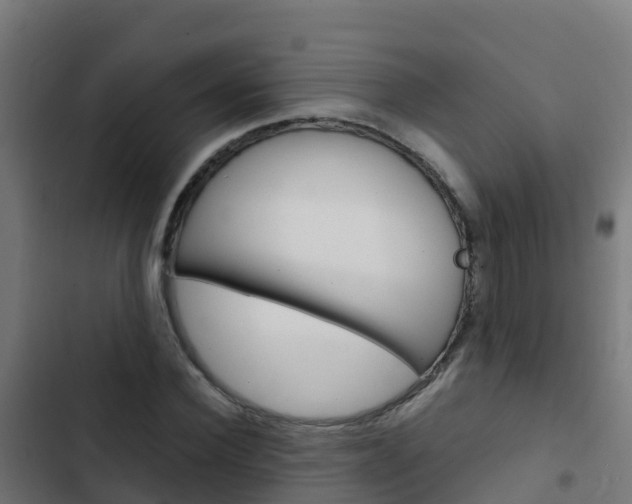 X0000103430924200809121033