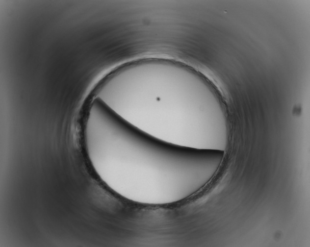 X0000103430926200809121033