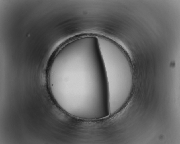 X0000103430927200809121033